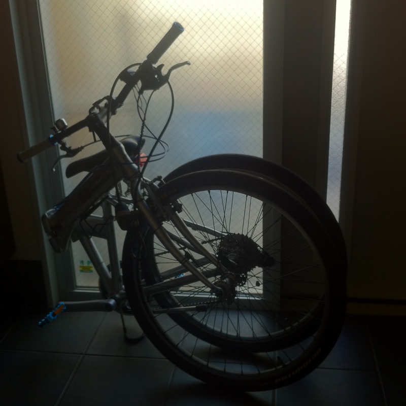 玄関に置いた自転車・ダホン